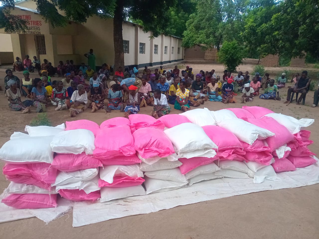 Working and serving the widows